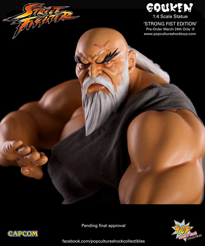 Street Fighter Gouken Strong Fist Statue 017