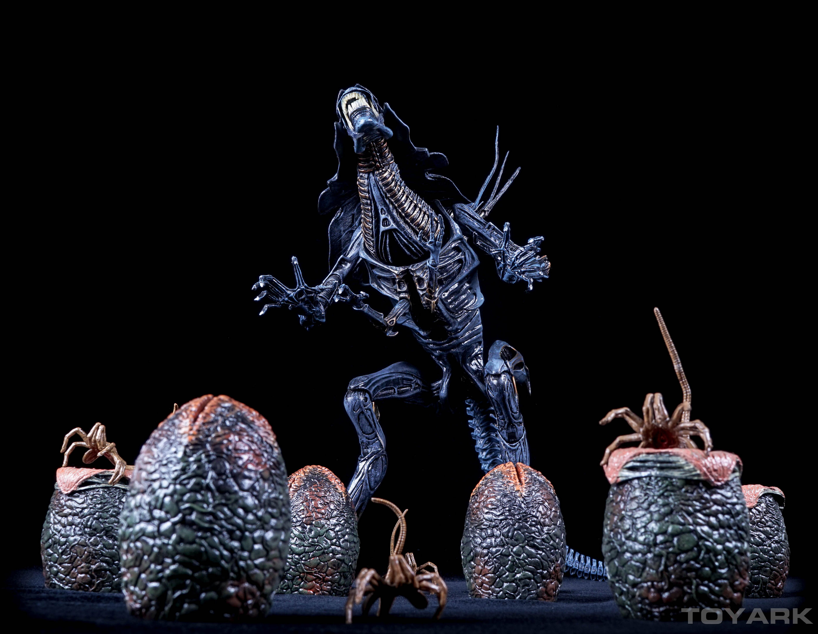 http://www.toyark.com/wp-content/uploads/2015/11/NECA-Alien-Eggs-037.jpg