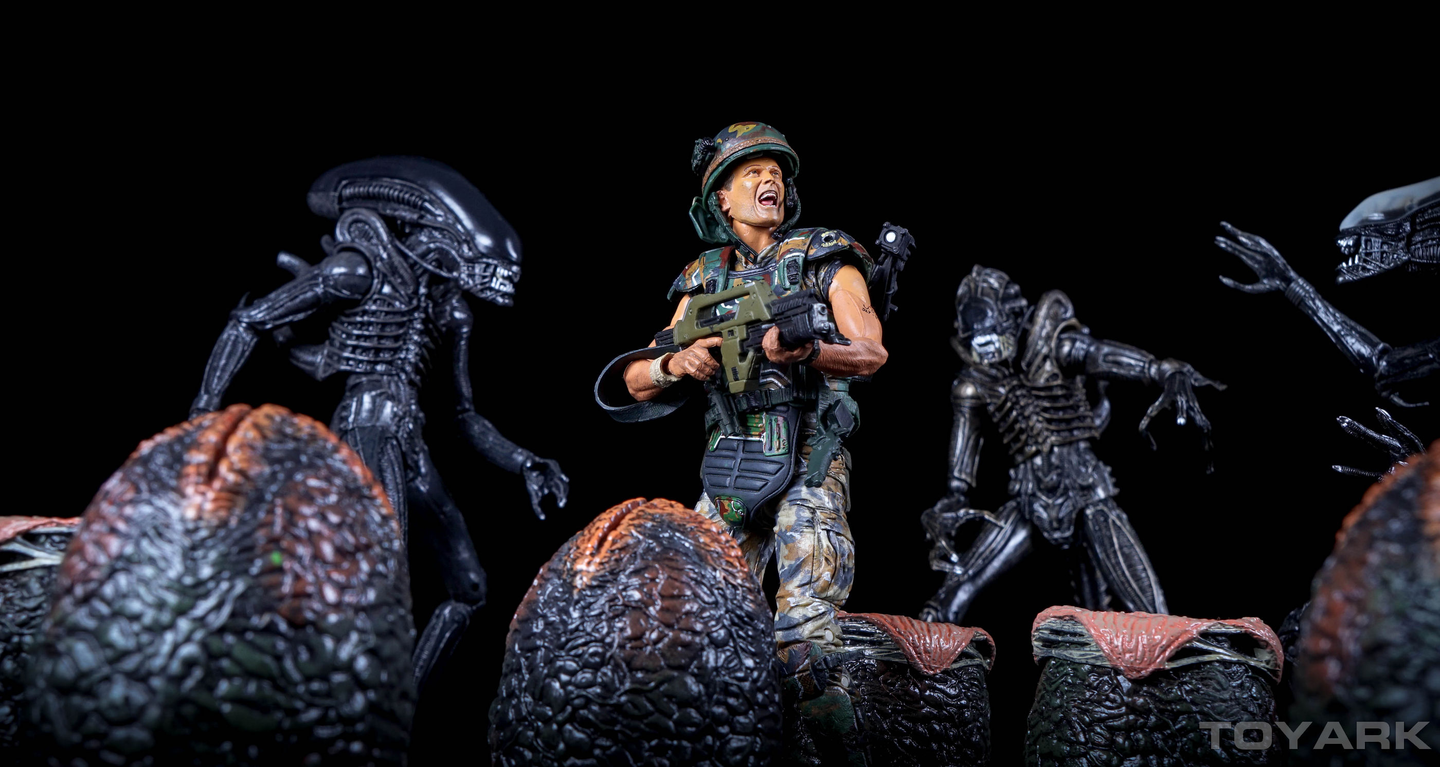 http://www.toyark.com/wp-content/uploads/2015/11/NECA-Alien-Eggs-042.jpg