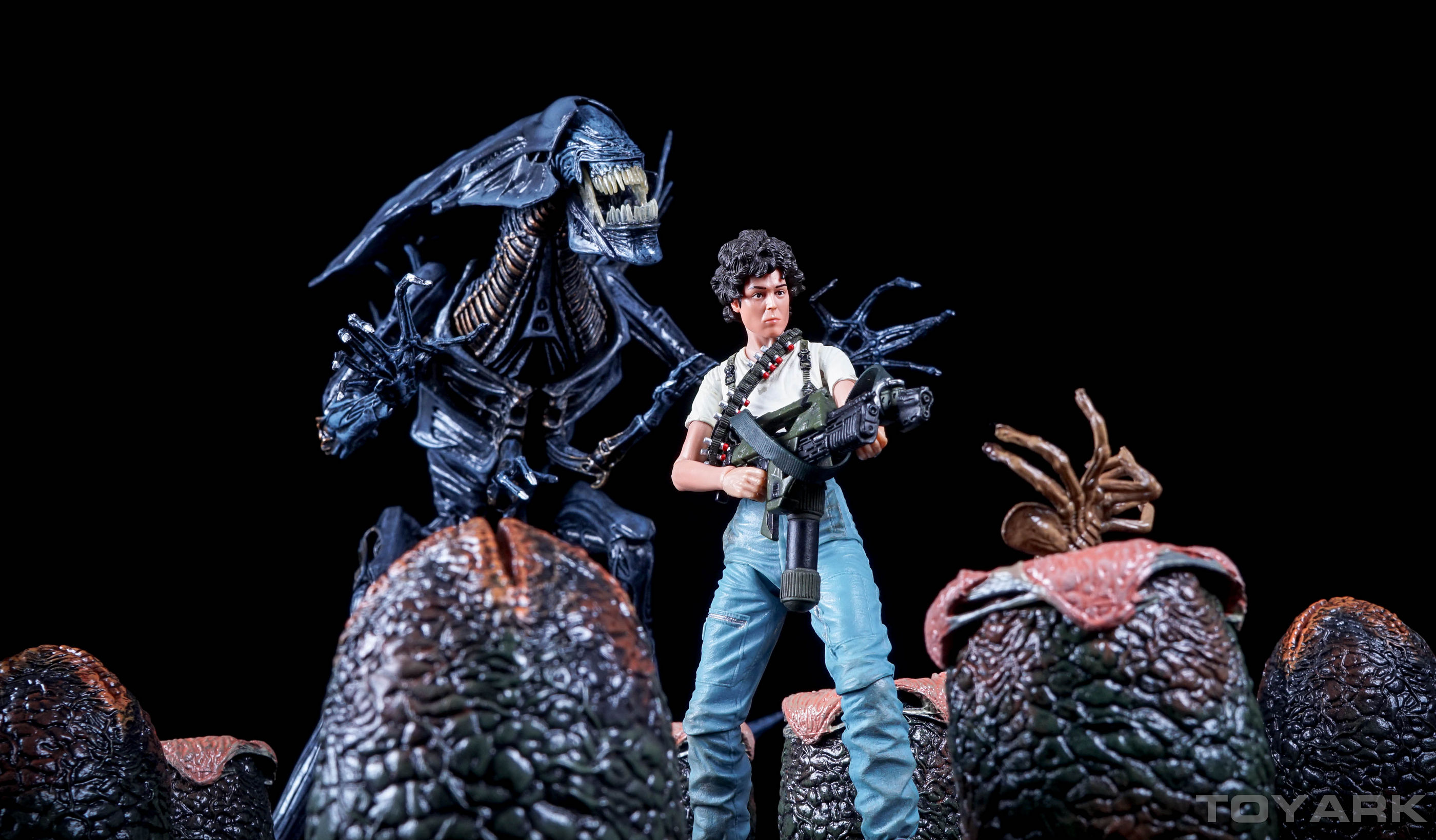 http://www.toyark.com/wp-content/uploads/2015/11/NECA-Alien-Eggs-045.jpg