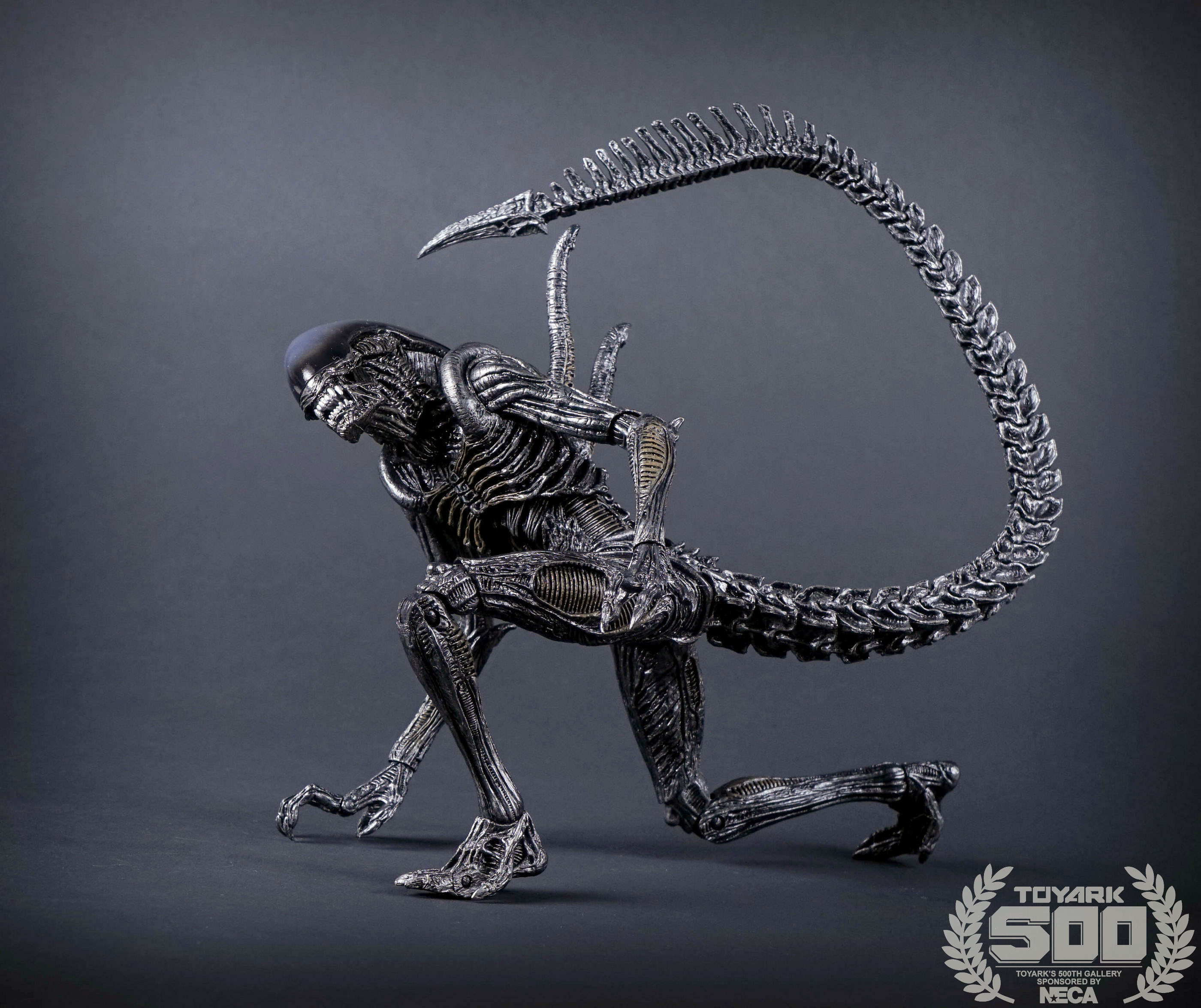 http://www.toyark.com/wp-content/uploads/2016/01/Alien-Series-7-NECA-035.jpg