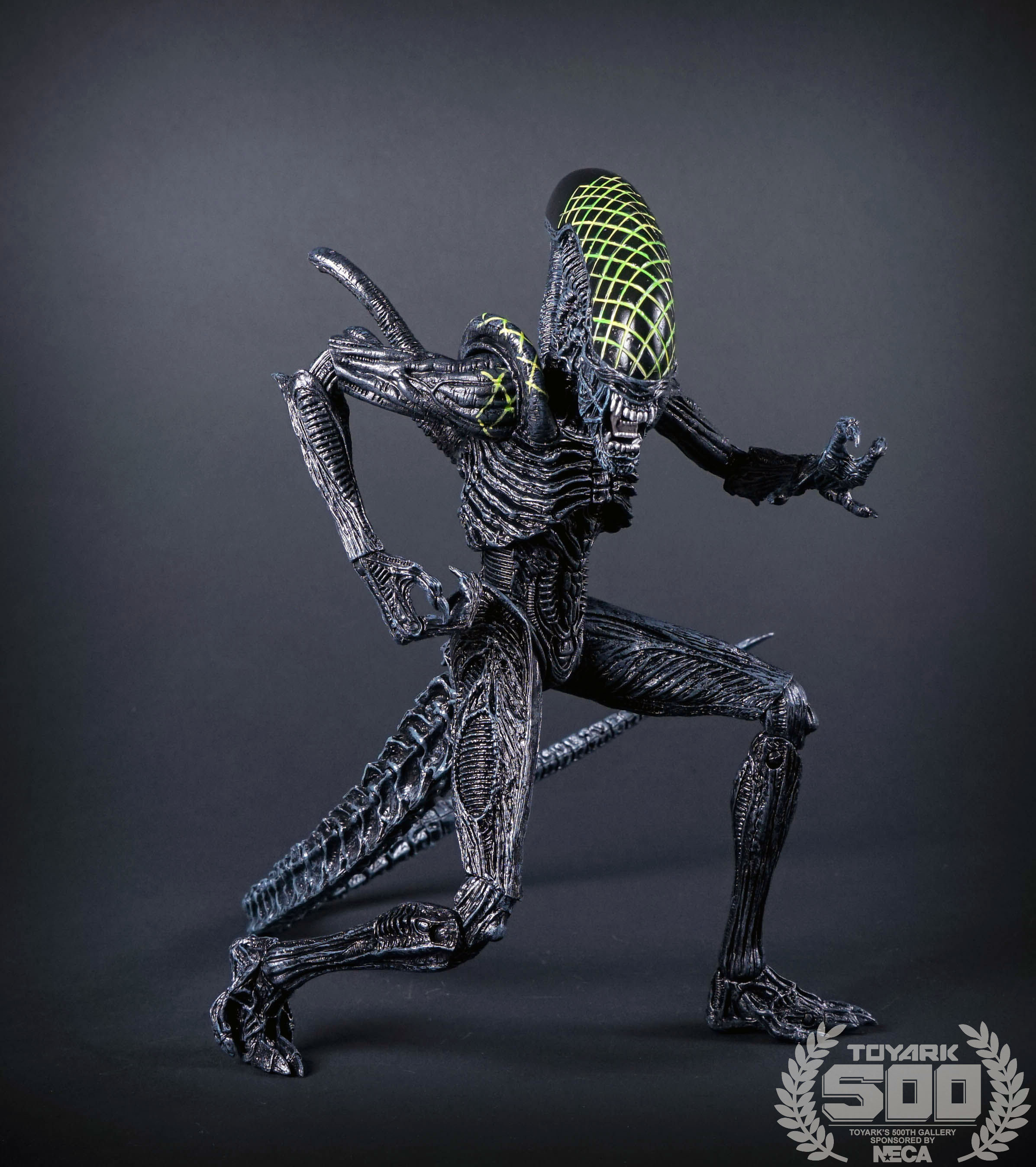 http://www.toyark.com/wp-content/uploads/2016/01/Alien-Series-7-NECA-066.jpg