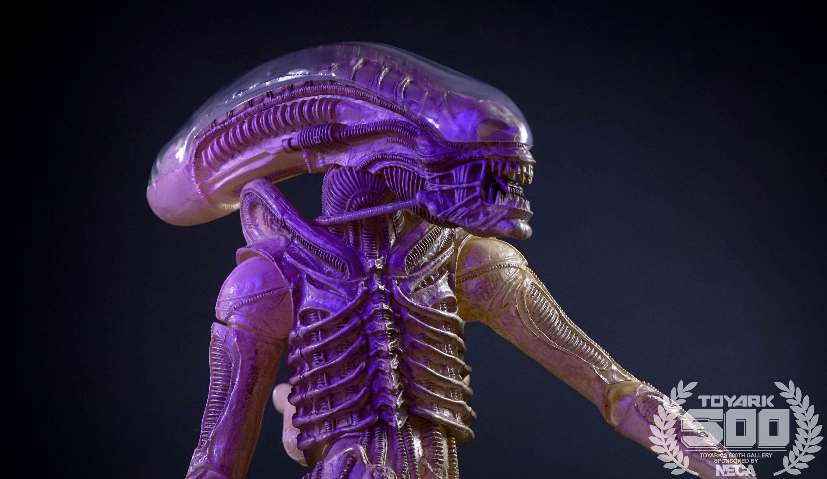 http://www.toyark.com/wp-content/uploads/2016/01/Alien-Series-7-NECA-120.jpg