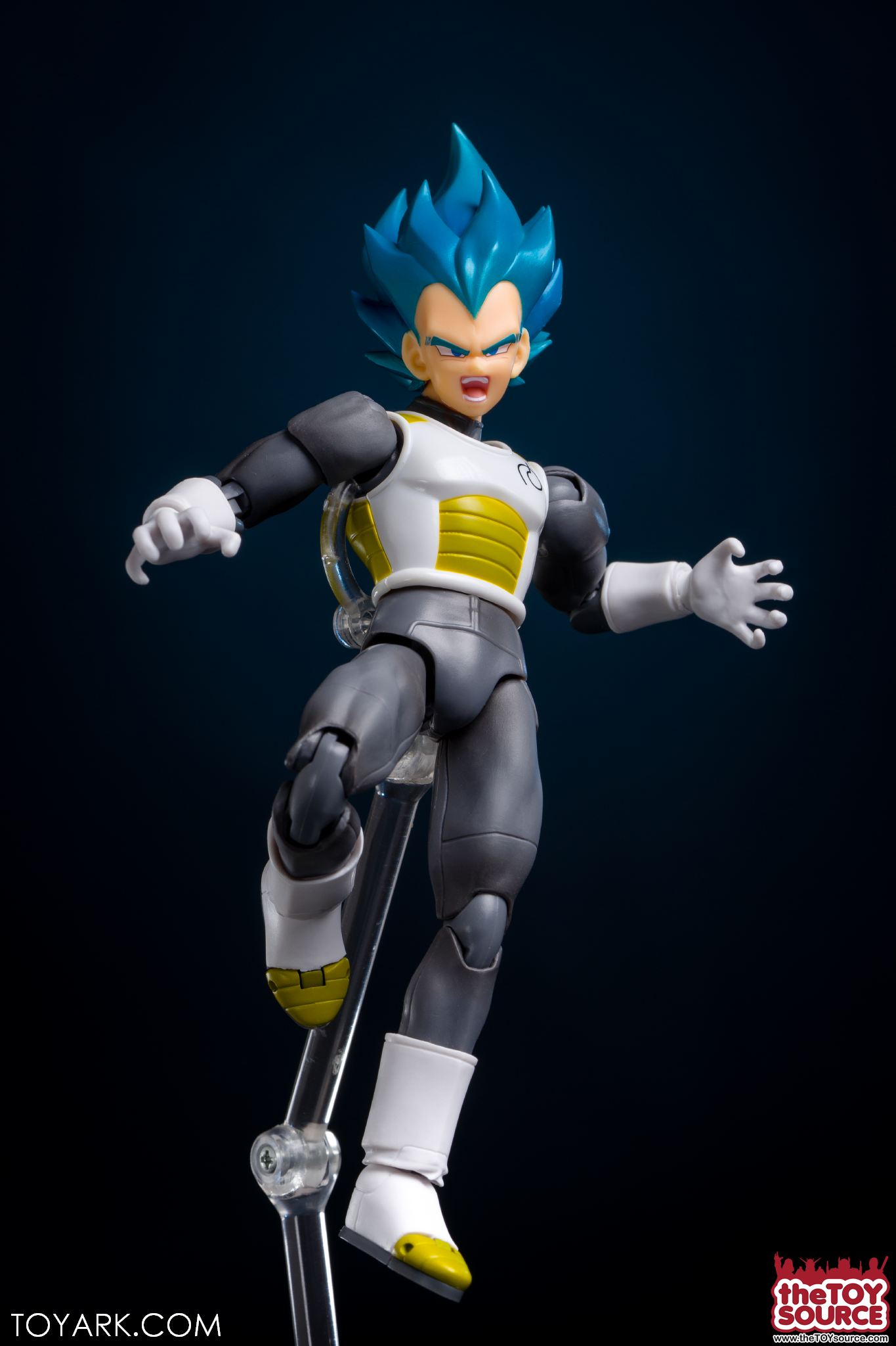 SSGSS Vegeta 15