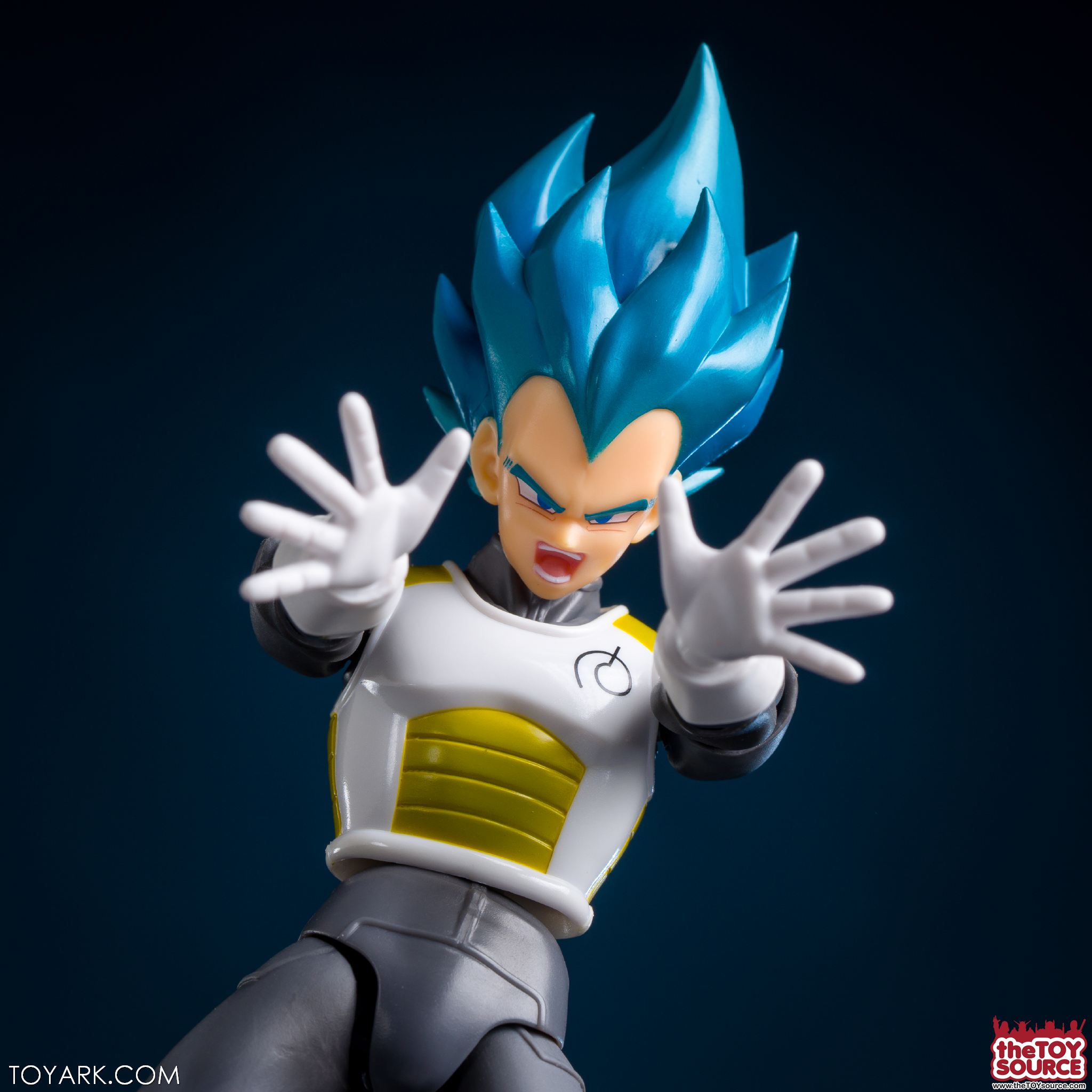 SSGSS Vegeta 19