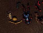 LCBH/Marvel Legends BAF Lot Sale-img_0861-1-.jpg