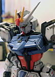 Painted + Matte Finished the strike gundam-hkdpost02_zps6b0qhpyq.jpg