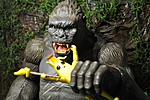Let's See Some Cool Stuff - ToyArk Edition-dsc_1180.jpg