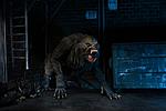 NECA Unveils American Werewolf In London-153752606_872652646853391_1937053732878803255_n.jpg