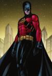 McFarlane Toys DC Multiverse New 52 Red Robin (Tim Drake) Action Figure-64b1357512b26a1864b8f1cc7986e683.jpg