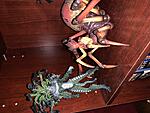 My Mixed Collection-00253771-9a47-482b-a463-9197d645a387.jpg
