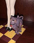 Heroines and Villainesses-cbb81c02-42d8-405d-86e8-358c98fe7406.jpg