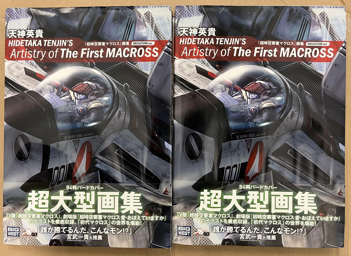 My Collection-hidetakatenjinartistryofthefirstmacrossdecultureversionx2.jpg