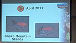 What MOTU figs are you looking for in  2012?-lt_motuc_2012_sm_stands.jpeg