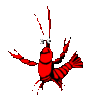 Crayfish's Avatar