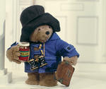 Paddington's Avatar