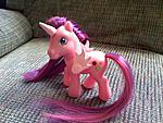 Pony customs