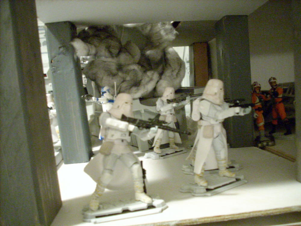 DSCN0433