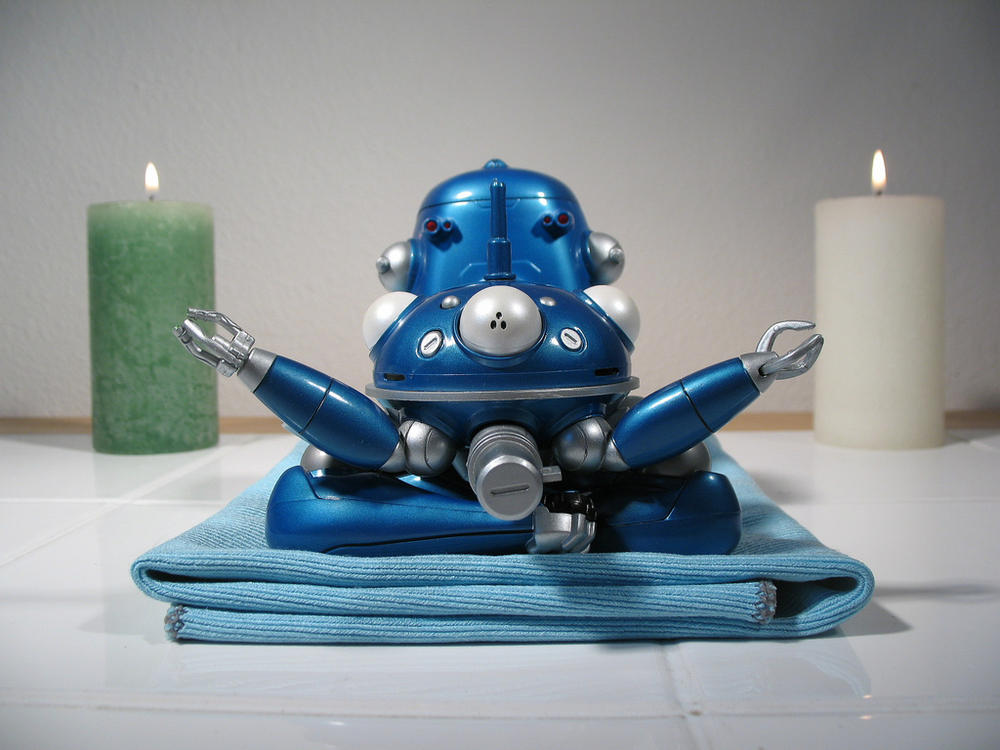 Tachikoma Zen