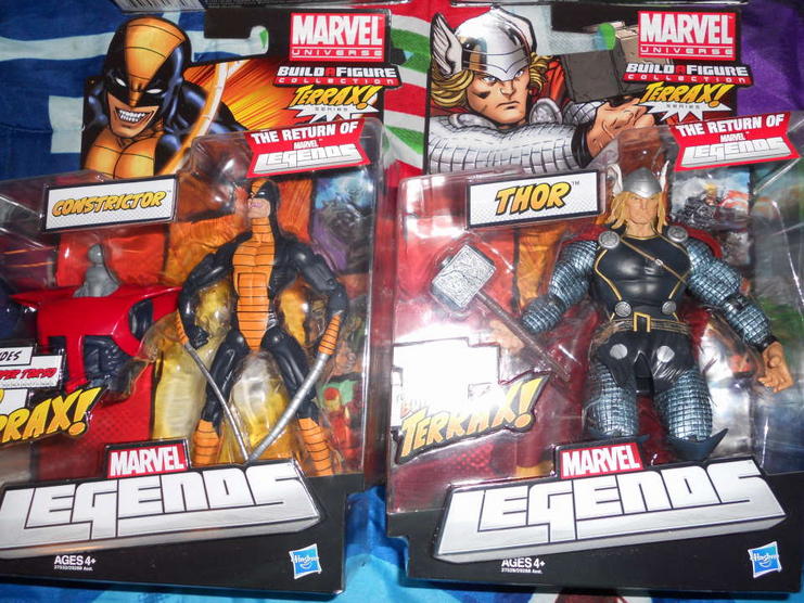 Constrictor & Thor