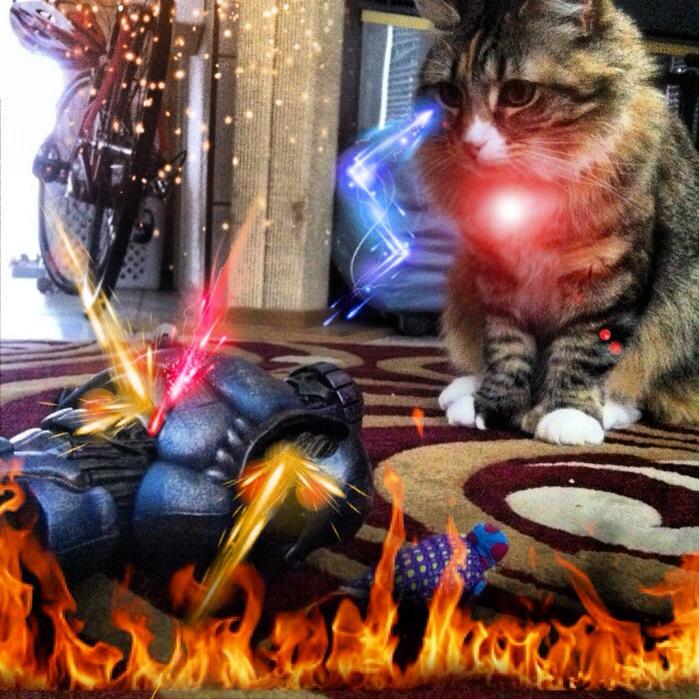 Delilah vs. BAF Sentinel