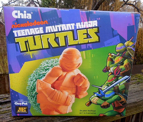 TMNT Chia Pet