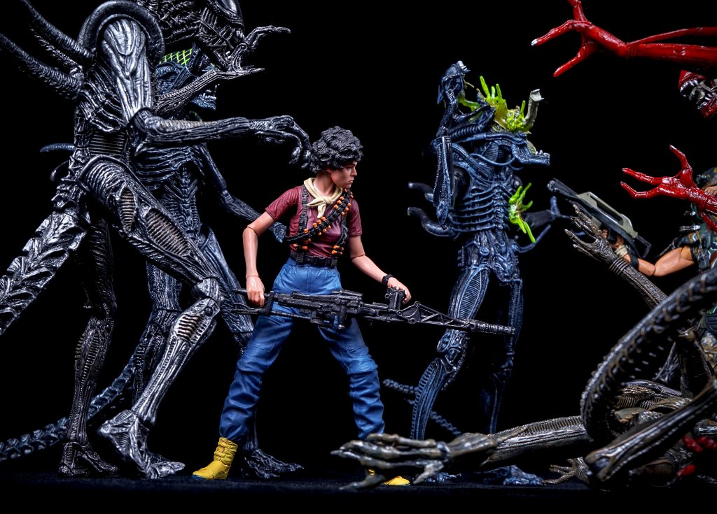Ripley 2