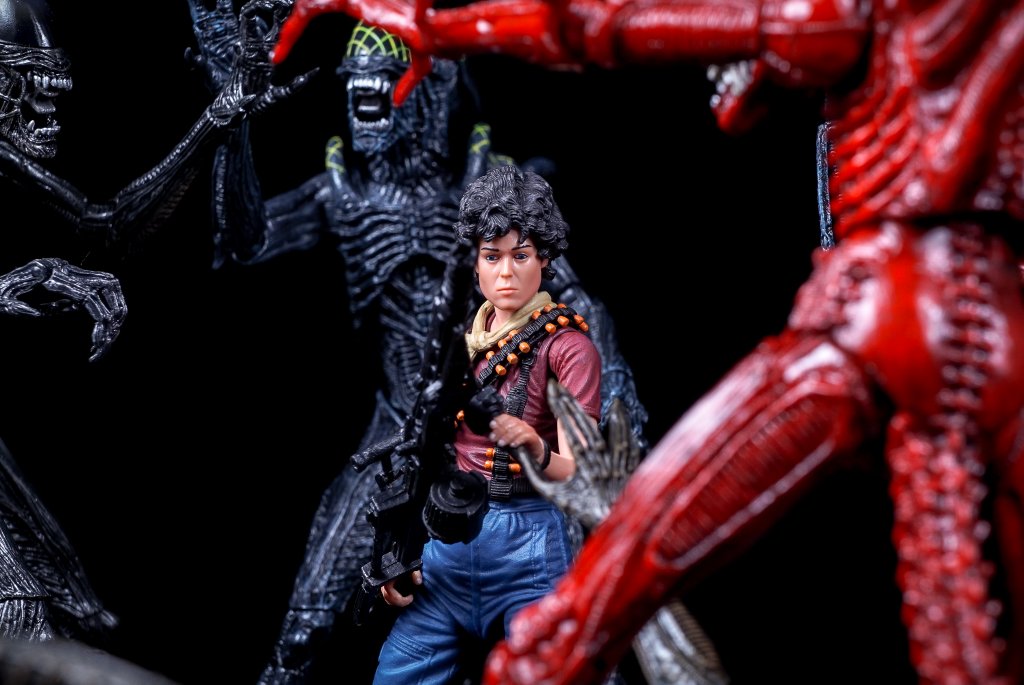 Ripley 3