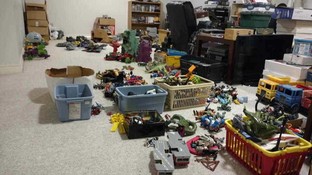 View 2 - Basement Cleanout Haul