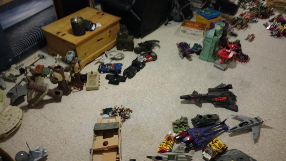 View 3 - Basement Cleanout Haul