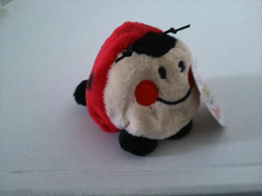 Ladybird Bobball