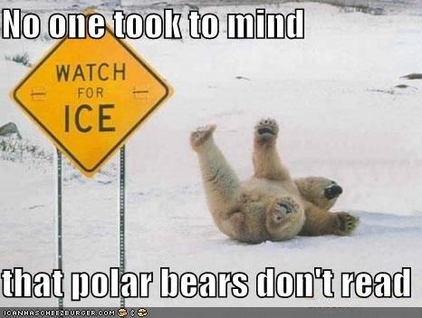 Anything I say would just take away from the hilarity.