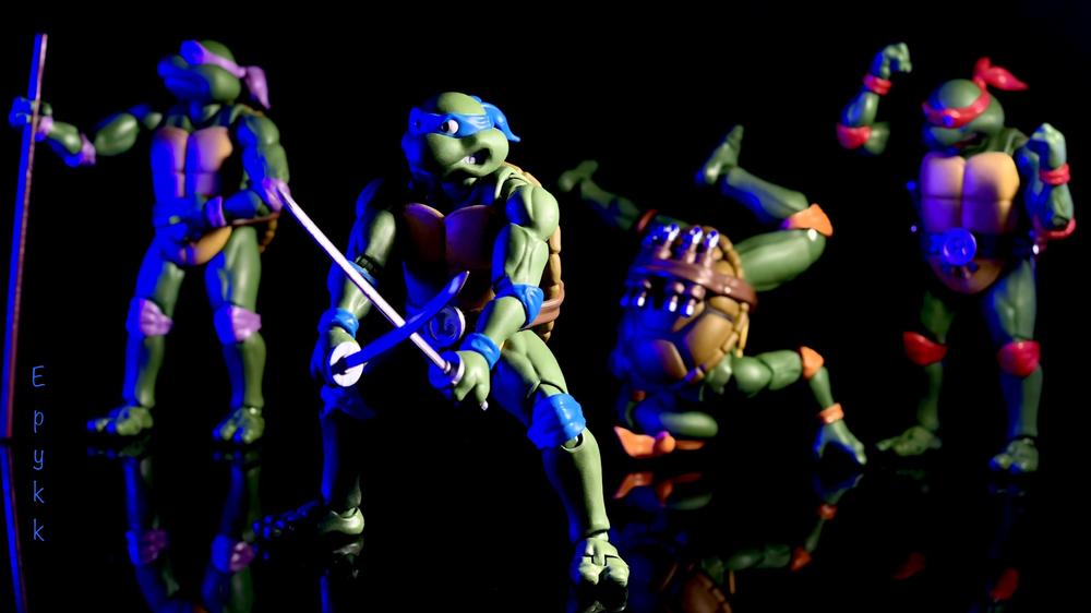 Bandai
S.H. Figuarts
TMNT
Leonardo