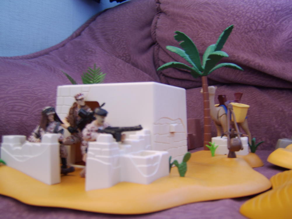 Desert Battle