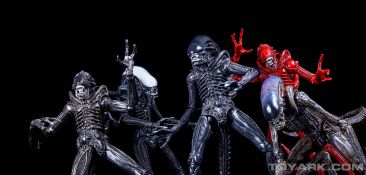 Toyark First Look - Alien vs Predator Toys R Us Exclusive Kenner Style 2-Pack  by NECA - The Toyark - News