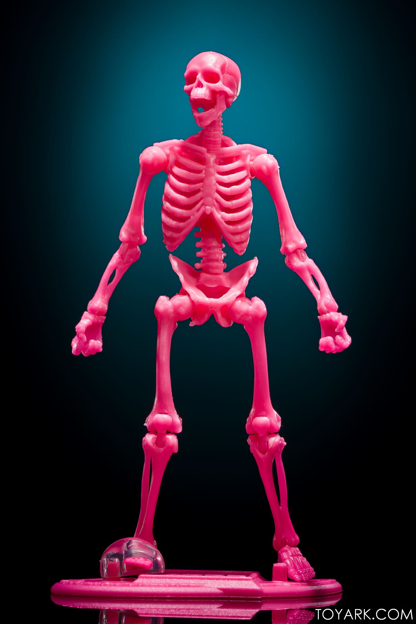 Vitruvian H.A.C.K.S. Action Figure: Skeleton Blank – Boss Fight Studio -  The Store