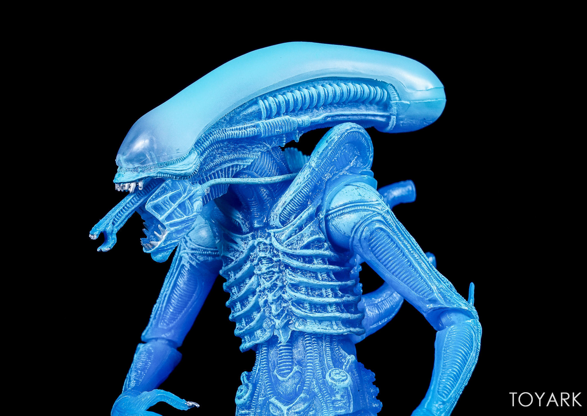 Фирма Aliens. NECA Maurice. NECA 51361. Tiny Terrors NECA. Чужой по английски