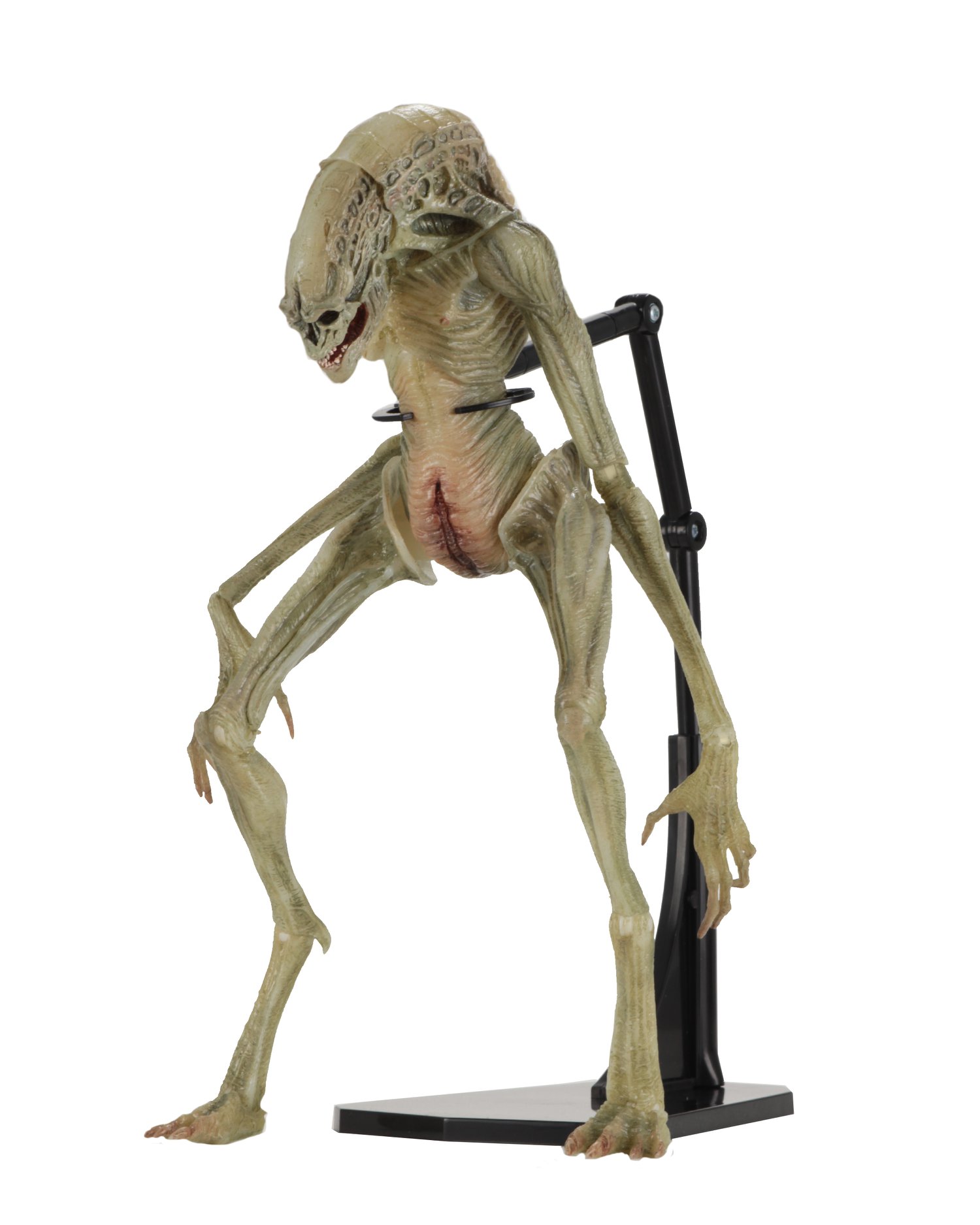 NEWBORN ALIEN 1/5スケール フィギュア 塗装済み 完成品 Alien: Resurrection – Newborn Alien Photos and Details by