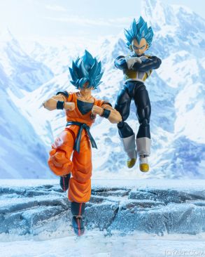 SHF Movie Goku 34