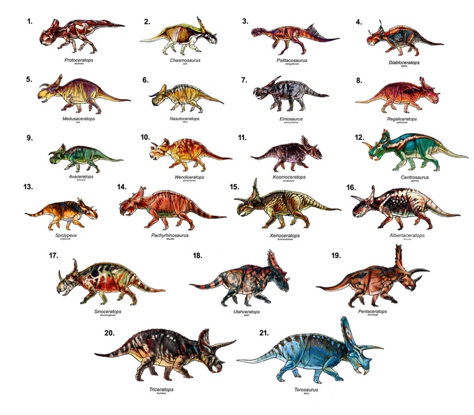 Beasts Tri 13 Beasts Tri 13