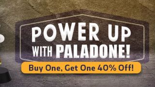 EE Paladone Sale
