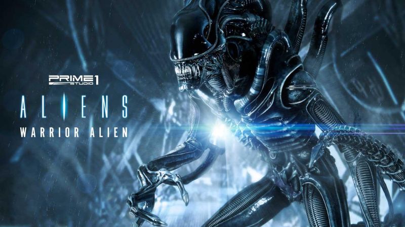 Prime 1 Alien Warrior 001