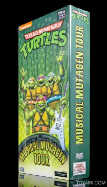 ninja turtles music tour