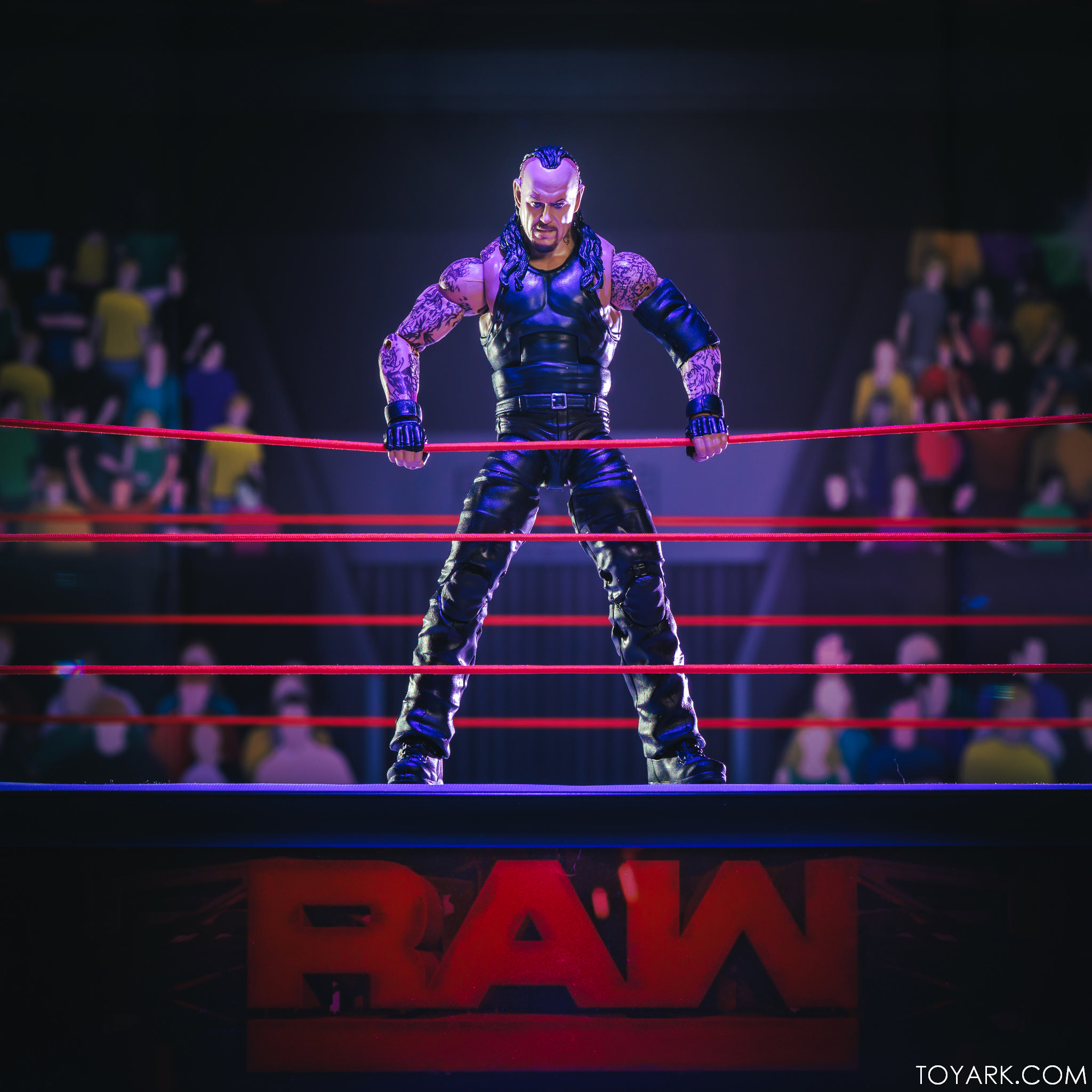 Elite Undertaker 30 and DoD Kane 34 Elite Undertaker 30 and DoD Kane 34