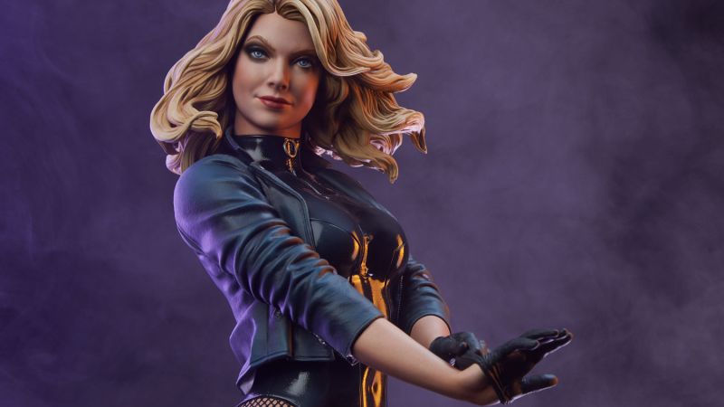 Sideshow Black Canary Statue 001