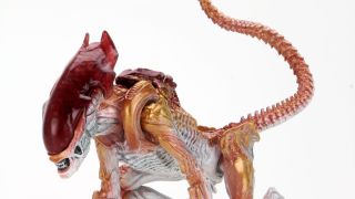 NECA Kenner Panther Alien Preview