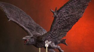 X Plus 2019 Rodan 003