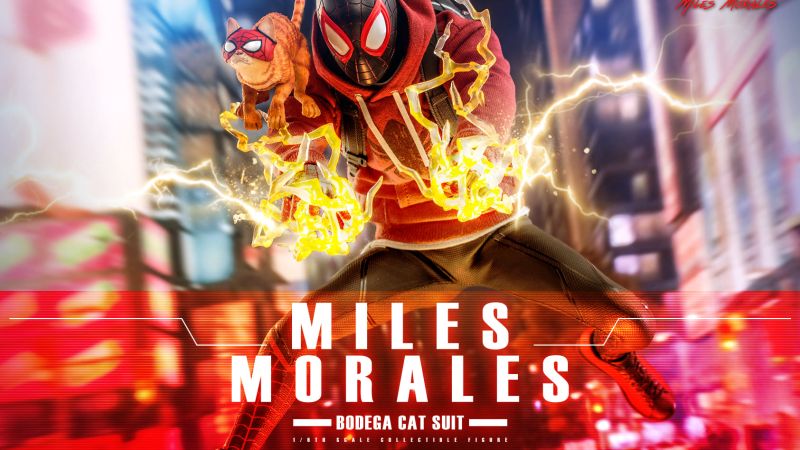 Hot Toys Miles Morales Spidey Bodega Cat 001