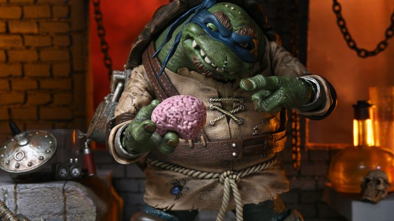 NECA Leo as Hunchback TMNT 020