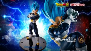 SHF 15th Vegeta 001